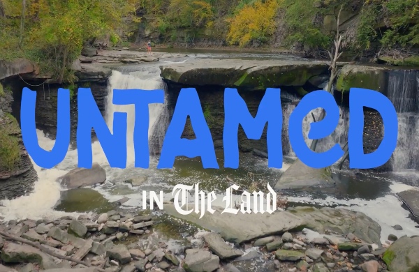 Cleveland: Untamed